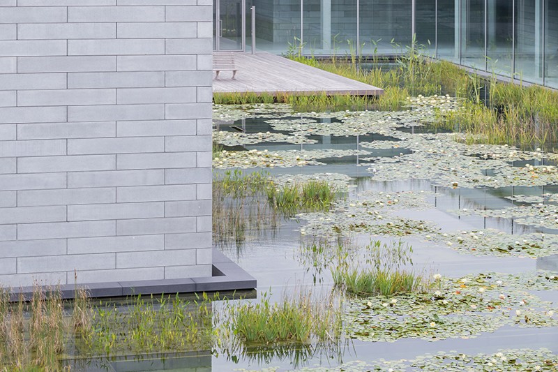 glenstone-museum-thomas-phifer-architecture-maryland-usa_dezeen_2364_col_19.jpg