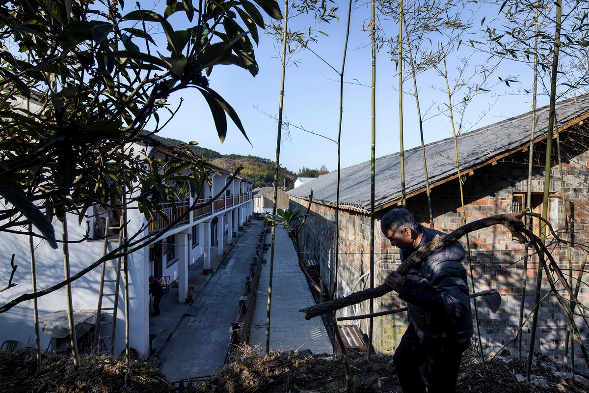 清晨，新建筑，老建筑，竹林和砍柴的村民_调整大小.jpg