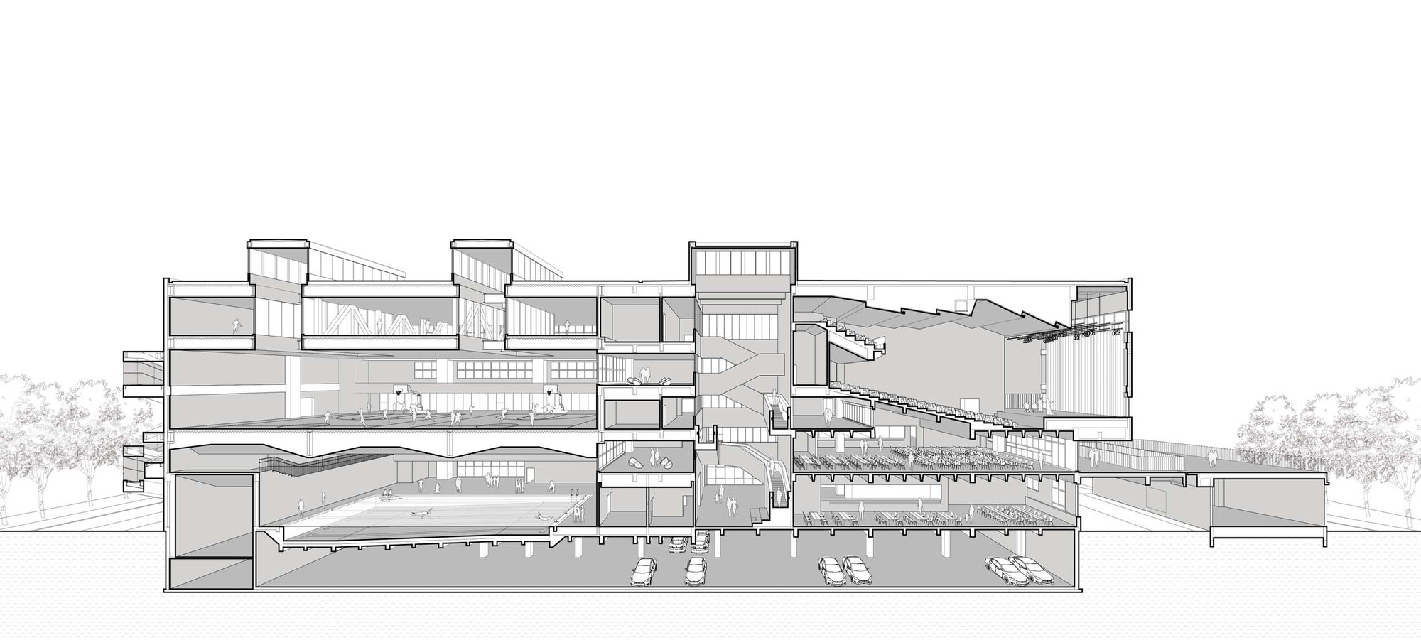 51_2.0文体楼剖面1.jpg