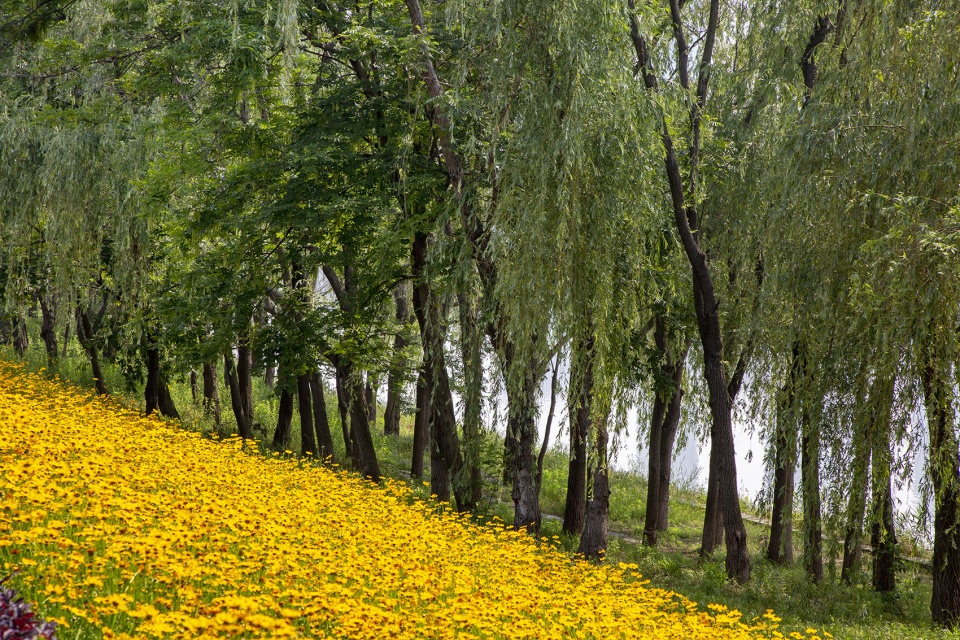 005-riverside-commercial-eco-park-china-by-collective-landscape-design-960x640.jpg